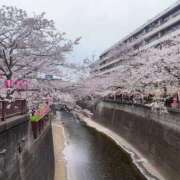ヒメ日記 2025/04/06 22:50 投稿 ♡ひなの先生♡ 梅田ムチぽよ女学院
