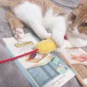 ヒメ日記 2025/04/08 09:20 投稿 ♡ひなの先生♡ 梅田ムチぽよ女学院