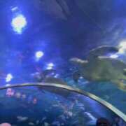 ヒメ日記 2025/04/09 04:40 投稿 ♡ひなの先生♡ 梅田ムチぽよ女学院