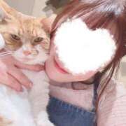 ヒメ日記 2025/04/09 15:14 投稿 ♡ひなの先生♡ 梅田ムチぽよ女学院