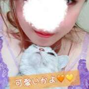 ヒメ日記 2025/04/10 17:06 投稿 ♡ひなの先生♡ 梅田ムチぽよ女学院