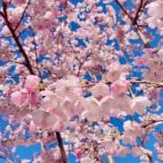 ヒメ日記 2025/04/10 18:00 投稿 ♡ひなの先生♡ 梅田ムチぽよ女学院