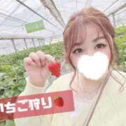 ヒメ日記 2025/04/13 04:40 投稿 ♡ひなの先生♡ 梅田ムチぽよ女学院