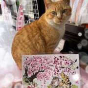 ヒメ日記 2025/04/13 12:23 投稿 ♡ひなの先生♡ 梅田ムチぽよ女学院