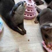 ヒメ日記 2025/04/16 17:54 投稿 ♡ひなの先生♡ 梅田ムチぽよ女学院