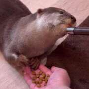 ヒメ日記 2025/04/16 22:22 投稿 ♡ひなの先生♡ 梅田ムチぽよ女学院