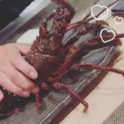 ヒメ日記 2025/05/03 12:30 投稿 ♡ひなの先生♡ 梅田ムチぽよ女学院