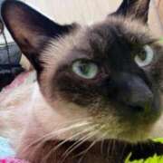 ヒメ日記 2025/05/05 14:03 投稿 ♡ひなの先生♡ 梅田ムチぽよ女学院