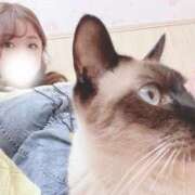 ヒメ日記 2025/05/05 15:50 投稿 ♡ひなの先生♡ 梅田ムチぽよ女学院