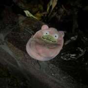 ヒメ日記 2025/05/21 15:50 投稿 ♡ひなの先生♡ 梅田ムチぽよ女学院