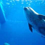 ヒメ日記 2025/05/21 16:00 投稿 ♡ひなの先生♡ 梅田ムチぽよ女学院