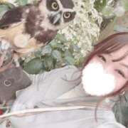 ヒメ日記 2025/05/24 09:20 投稿 ♡ひなの先生♡ 梅田ムチぽよ女学院