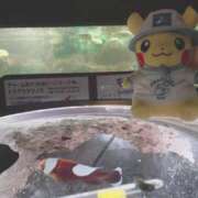 ヒメ日記 2025/05/25 13:24 投稿 ♡ひなの先生♡ 梅田ムチぽよ女学院