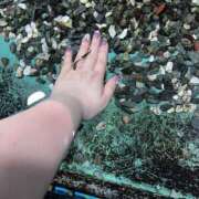 ヒメ日記 2025/05/26 19:50 投稿 ♡ひなの先生♡ 梅田ムチぽよ女学院