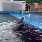 ヒメ日記 2025/05/28 14:21 投稿 ♡ひなの先生♡ 梅田ムチぽよ女学院