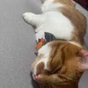 ヒメ日記 2025/05/29 15:21 投稿 ♡ひなの先生♡ 梅田ムチぽよ女学院