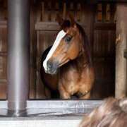 ヒメ日記 2025/06/08 10:40 投稿 ♡ひなの先生♡ 梅田ムチぽよ女学院