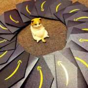 ヒメ日記 2025/06/08 13:40 投稿 ♡ひなの先生♡ 梅田ムチぽよ女学院