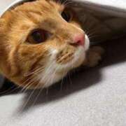 ヒメ日記 2025/06/12 12:30 投稿 ♡ひなの先生♡ 梅田ムチぽよ女学院