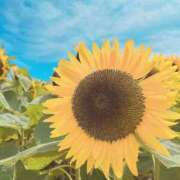 ヒメ日記 2025/06/14 15:20 投稿 ♡ひなの先生♡ 梅田ムチぽよ女学院