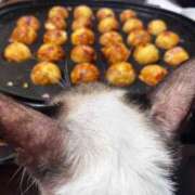 ヒメ日記 2025/06/14 17:20 投稿 ♡ひなの先生♡ 梅田ムチぽよ女学院