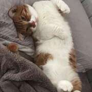 ヒメ日記 2025/06/17 12:37 投稿 ♡ひなの先生♡ 梅田ムチぽよ女学院