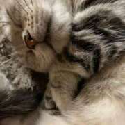 ヒメ日記 2025/06/25 03:20 投稿 ♡ひなの先生♡ 梅田ムチぽよ女学院