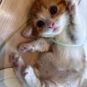 ヒメ日記 2025/06/27 17:50 投稿 ♡ひなの先生♡ 梅田ムチぽよ女学院