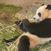 ヒメ日記 2025/06/30 03:40 投稿 ♡ひなの先生♡ 梅田ムチぽよ女学院