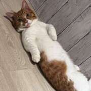 ヒメ日記 2025/07/04 18:00 投稿 ♡ひなの先生♡ 梅田ムチぽよ女学院