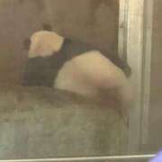 ヒメ日記 2025/07/11 18:20 投稿 ♡ひなの先生♡ 梅田ムチぽよ女学院