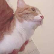 ヒメ日記 2025/07/18 03:50 投稿 ♡ひなの先生♡ 梅田ムチぽよ女学院