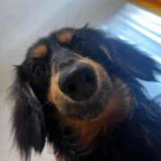 ヒメ日記 2025/07/31 14:50 投稿 ♡ひなの先生♡ 梅田ムチぽよ女学院