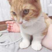 ヒメ日記 2025/08/03 20:20 投稿 ♡ひなの先生♡ 梅田ムチぽよ女学院