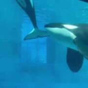 ヒメ日記 2025/08/06 10:20 投稿 ♡ひなの先生♡ 梅田ムチぽよ女学院