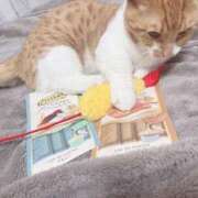 ヒメ日記 2025/08/11 14:20 投稿 ♡ひなの先生♡ 梅田ムチぽよ女学院