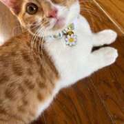 ヒメ日記 2025/08/11 17:24 投稿 ♡ひなの先生♡ 梅田ムチぽよ女学院