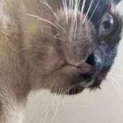 ヒメ日記 2025/08/15 12:22 投稿 ♡ひなの先生♡ 梅田ムチぽよ女学院