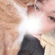 ヒメ日記 2025/08/31 03:40 投稿 ♡ひなの先生♡ 梅田ムチぽよ女学院