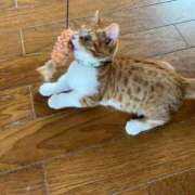 ヒメ日記 2025/09/01 20:50 投稿 ♡ひなの先生♡ 梅田ムチぽよ女学院