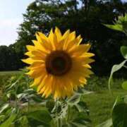 ヒメ日記 2025/09/02 02:10 投稿 ♡ひなの先生♡ 梅田ムチぽよ女学院