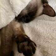 ヒメ日記 2025/09/05 12:20 投稿 ♡ひなの先生♡ 梅田ムチぽよ女学院