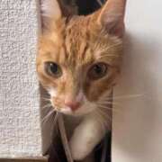 ヒメ日記 2025/09/06 11:50 投稿 ♡ひなの先生♡ 梅田ムチぽよ女学院