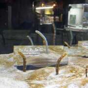 ヒメ日記 2025/09/06 21:00 投稿 ♡ひなの先生♡ 梅田ムチぽよ女学院