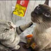 ヒメ日記 2025/09/07 11:20 投稿 ♡ひなの先生♡ 梅田ムチぽよ女学院