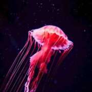 ヒメ日記 2025/09/08 06:40 投稿 ♡ひなの先生♡ 梅田ムチぽよ女学院