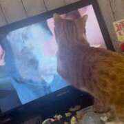 ヒメ日記 2025/09/09 17:20 投稿 ♡ひなの先生♡ 梅田ムチぽよ女学院