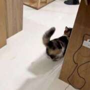 ヒメ日記 2025/09/17 11:10 投稿 ♡ひなの先生♡ 梅田ムチぽよ女学院