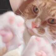 ヒメ日記 2025/09/19 17:10 投稿 ♡ひなの先生♡ 梅田ムチぽよ女学院