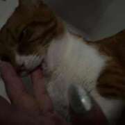 ヒメ日記 2025/09/22 12:00 投稿 ♡ひなの先生♡ 梅田ムチぽよ女学院